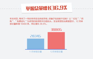 安全聯(lián)盟12月安全月報(bào)
