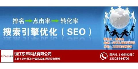 網(wǎng)站優(yōu)化推廣、網(wǎng)站優(yōu)化、樂環(huán)科技
