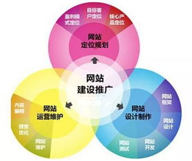 網(wǎng)站建設(shè)時(shí)如何進(jìn)行seo優(yōu)化推廣設(shè)計(jì)