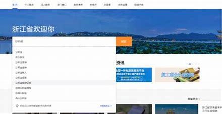 優(yōu)化完善浙江政務(wù)網(wǎng)站點(diǎn)界面解讀_網(wǎng)站入口自動(dòng)跳轉(zhuǎn)的網(wǎng)站(2024年12月精選)